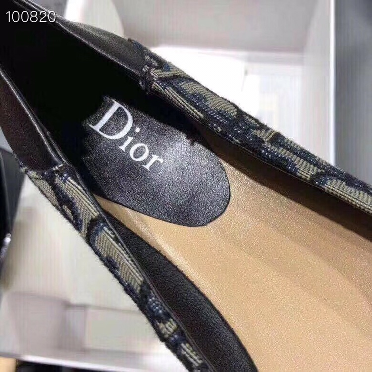 lv  Dior (迪奥）风靡全球的D字字母休闲系列花园鞋