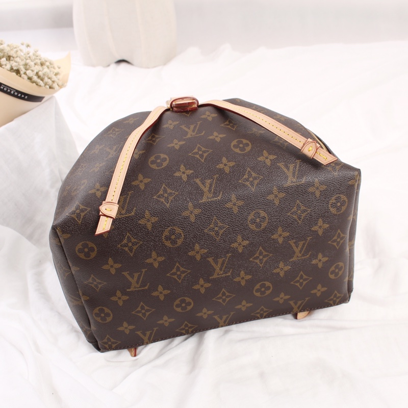 Louis Vuitton Sperone Monogram backpack everyday