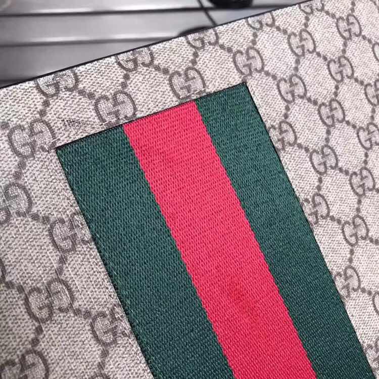 Gucci Luxury Handbag Collection 7