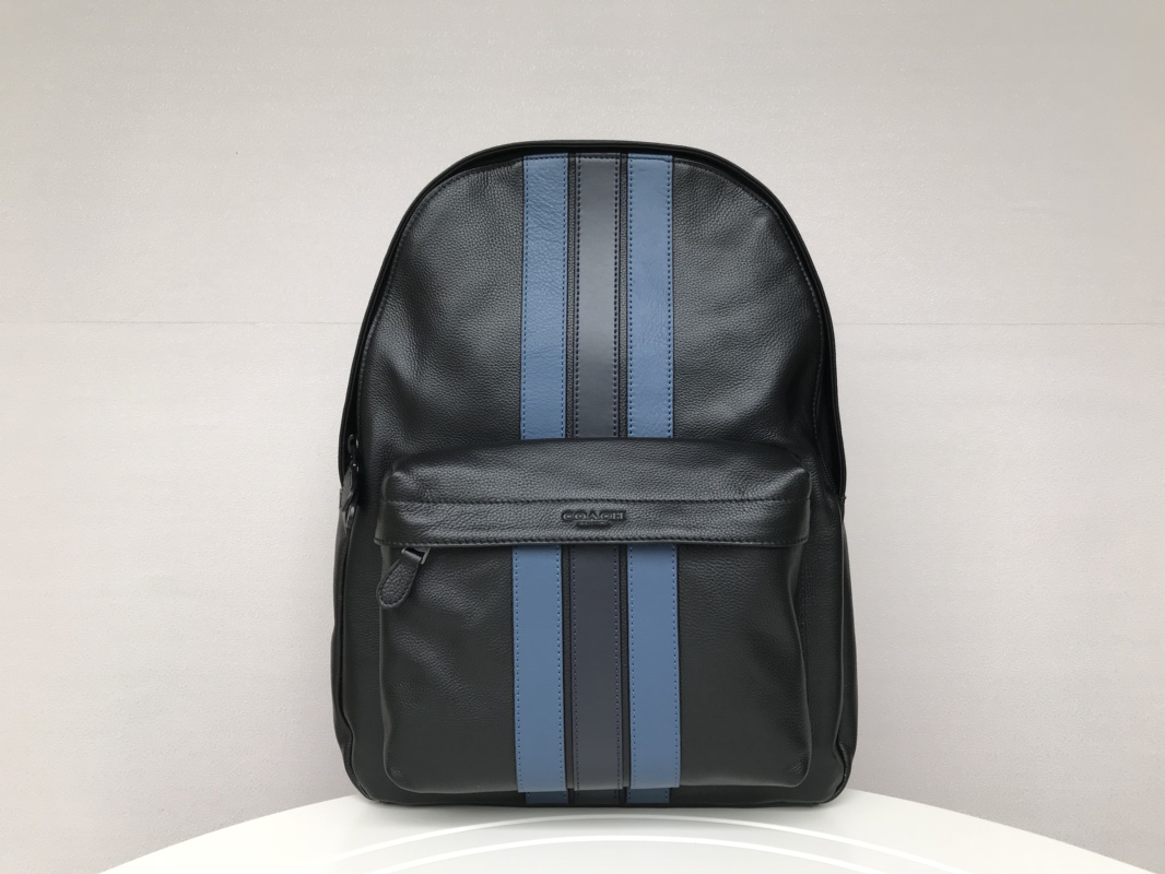 Coach C家23214 最新款男士双肩背包、全皮 条纹、超大容量。尺寸32.41.14