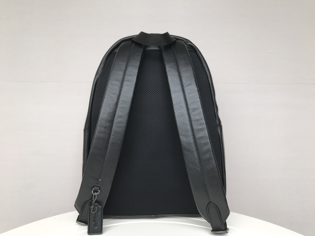Coach C家23214 最新款男士双肩背包、全皮 条纹、超大容量。尺寸32.41.14