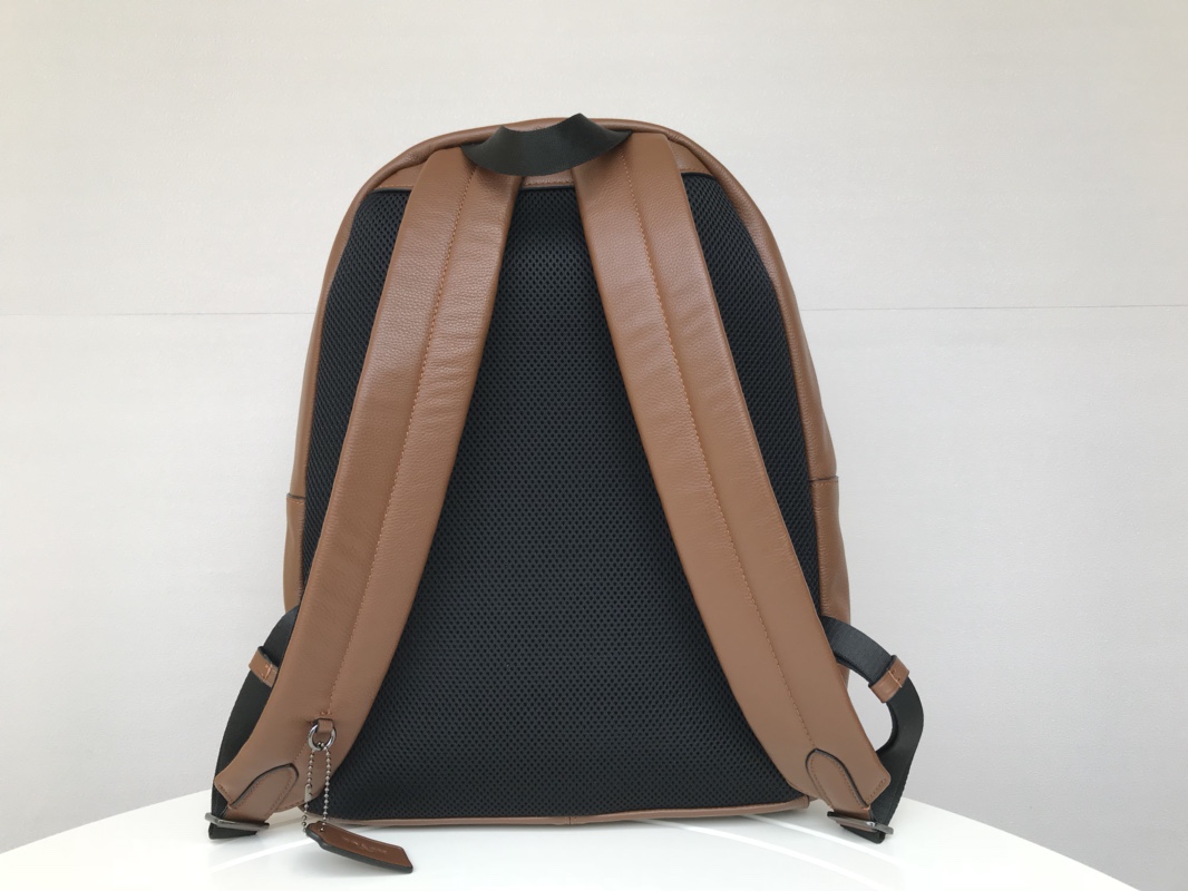 Coach C家23214 最新款男士双肩背包、全皮 条纹、超大容量。尺寸32.41.14