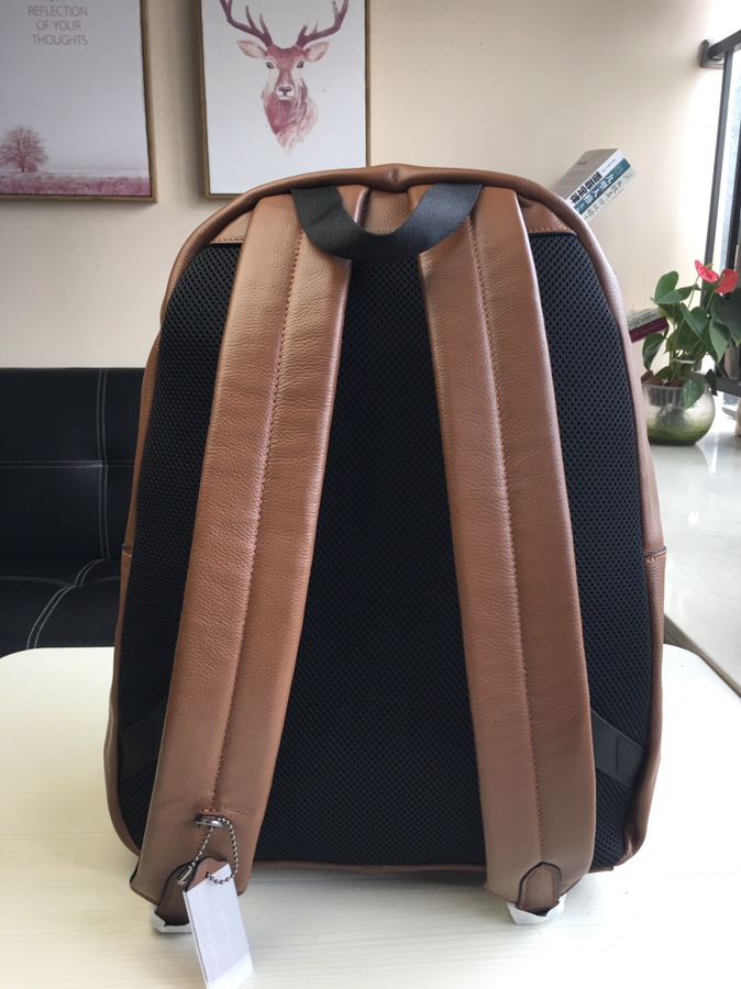 Coach 最新款 条纹款 头层牛皮coach23214男士双肩包书包 背包 双隔层 前面一个独立小口袋
