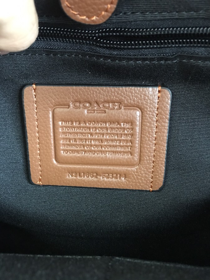 Coach 最新款 条纹款 头层牛皮coach23214男士双肩包书包 背包 双隔层 前面一个独立小口袋