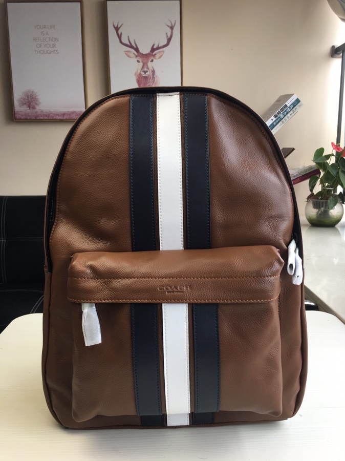 Coach 最新款 条纹款 头层牛皮coach23214男士双肩包书包 背包 双隔层 前面一个独立小口袋