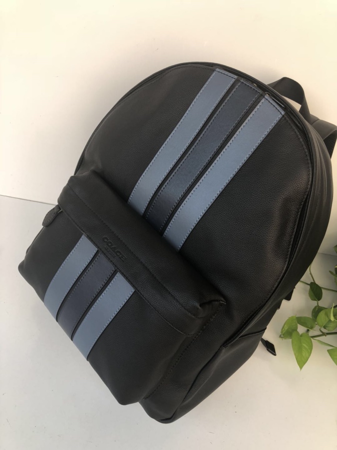 Coach coach/蔻驰 新款男双肩背包印花书包 23214 全皮 条纹款 头层牛皮材质