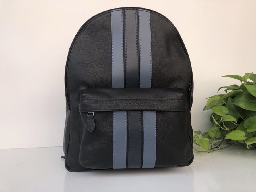 Coach coach/蔻驰 新款男双肩背包印花书包 23214 全皮 条纹款 头层牛皮材质