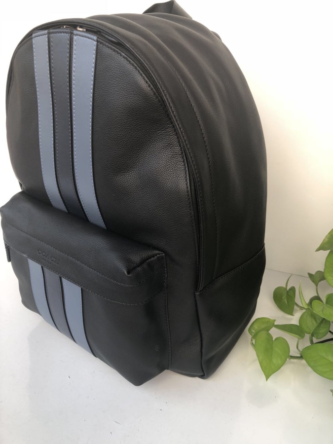 Coach coach/蔻驰 新款男双肩背包印花书包 23214 全皮 条纹款 头层牛皮材质
