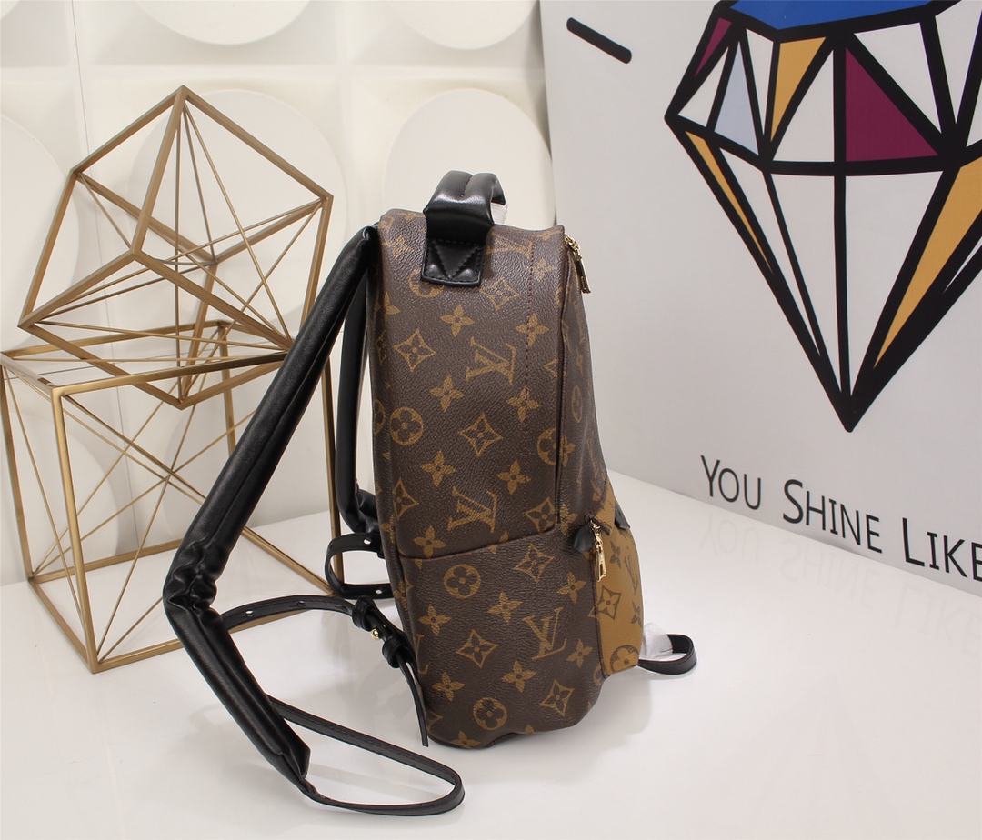 Louis Vuitton Palm Springs Mini Monogram Reverse Monogram mini backpack everyday