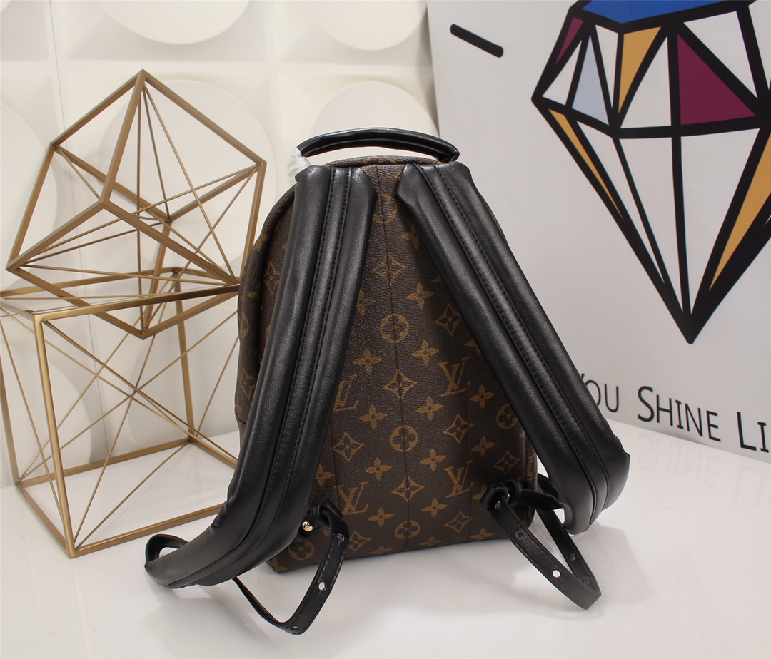 Louis Vuitton Palm Springs Mini Monogram Reverse Monogram mini backpack everyday