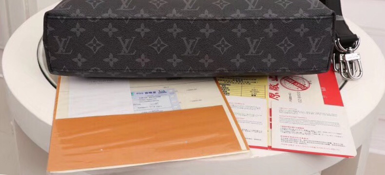 Louis Vuitton Monogram everyday