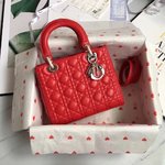 The Best
 Dior Flawless
 Bags Handbags Lambskin Sheepskin Lady