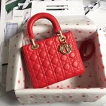 Dior Flawless
 Bags Handbags Lambskin Sheepskin Lady