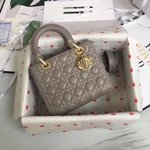 Dior Bags Handbags Lambskin Sheepskin Lady