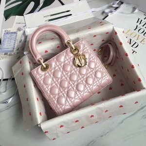 Dior Flawless Bags Handbags Lambskin Sheepskin Lady