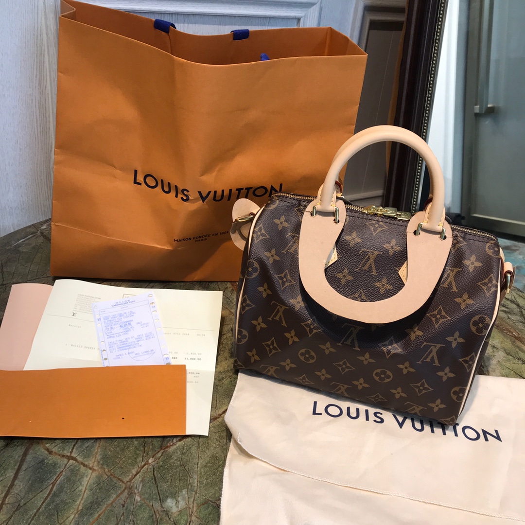 Louis Vuitton Bags Handbags