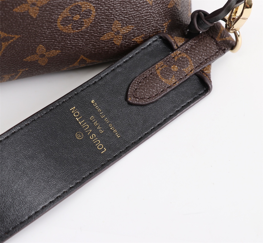 Louis Vuitton M43445 everyday
