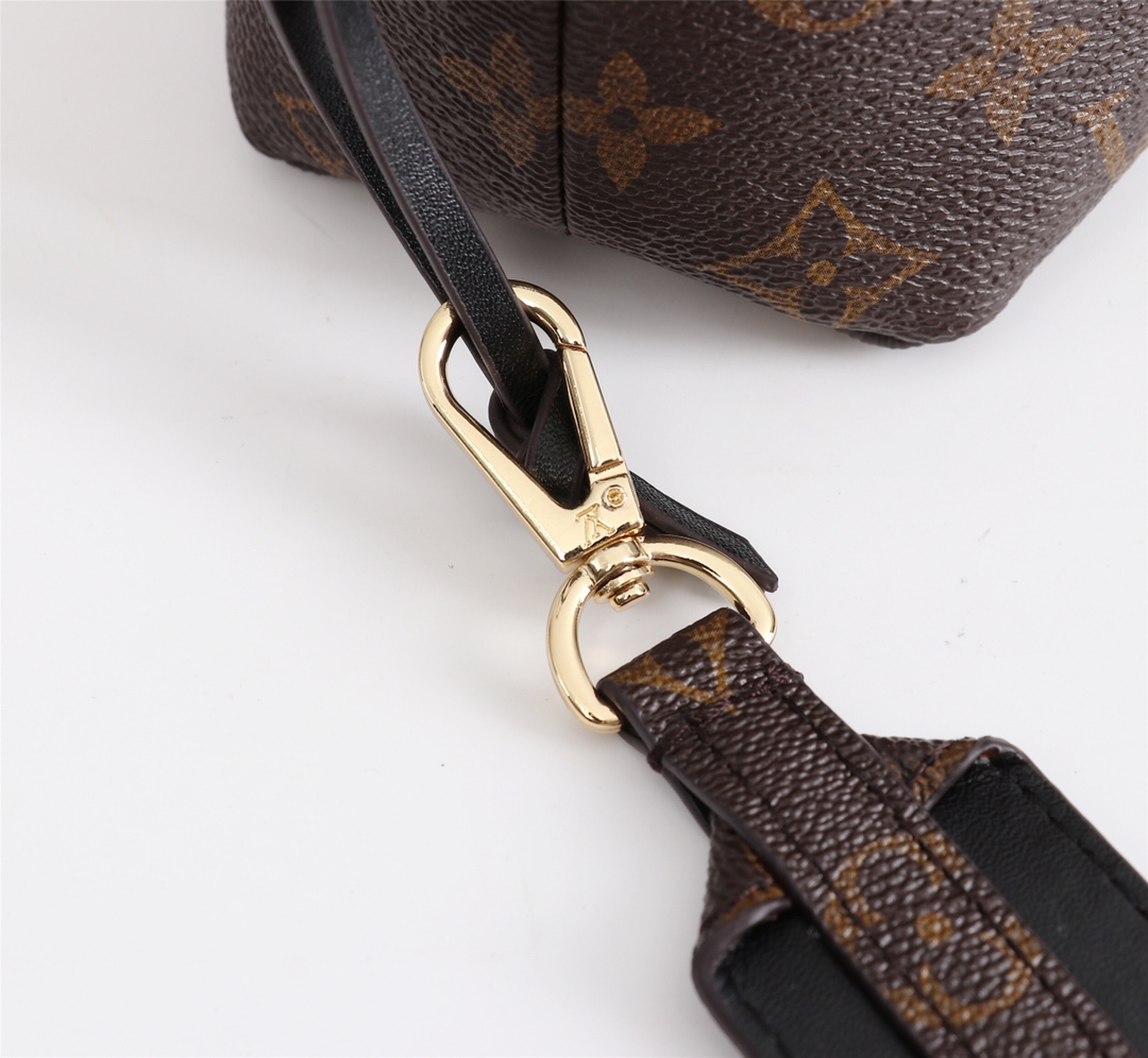 Louis Vuitton M43445 everyday