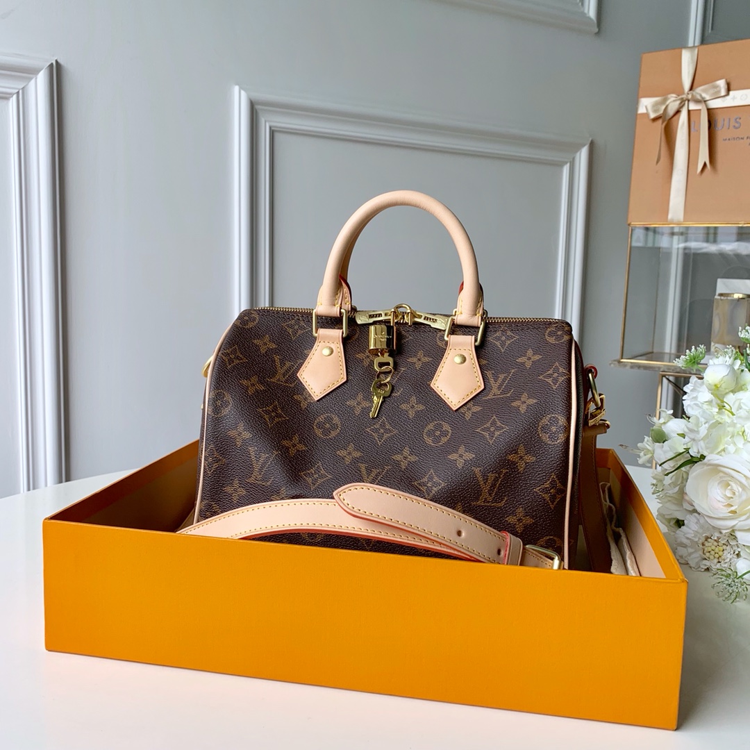 Louis Vuitton LV Speedy Bags Handbags Damier Ebene Canvas M41113