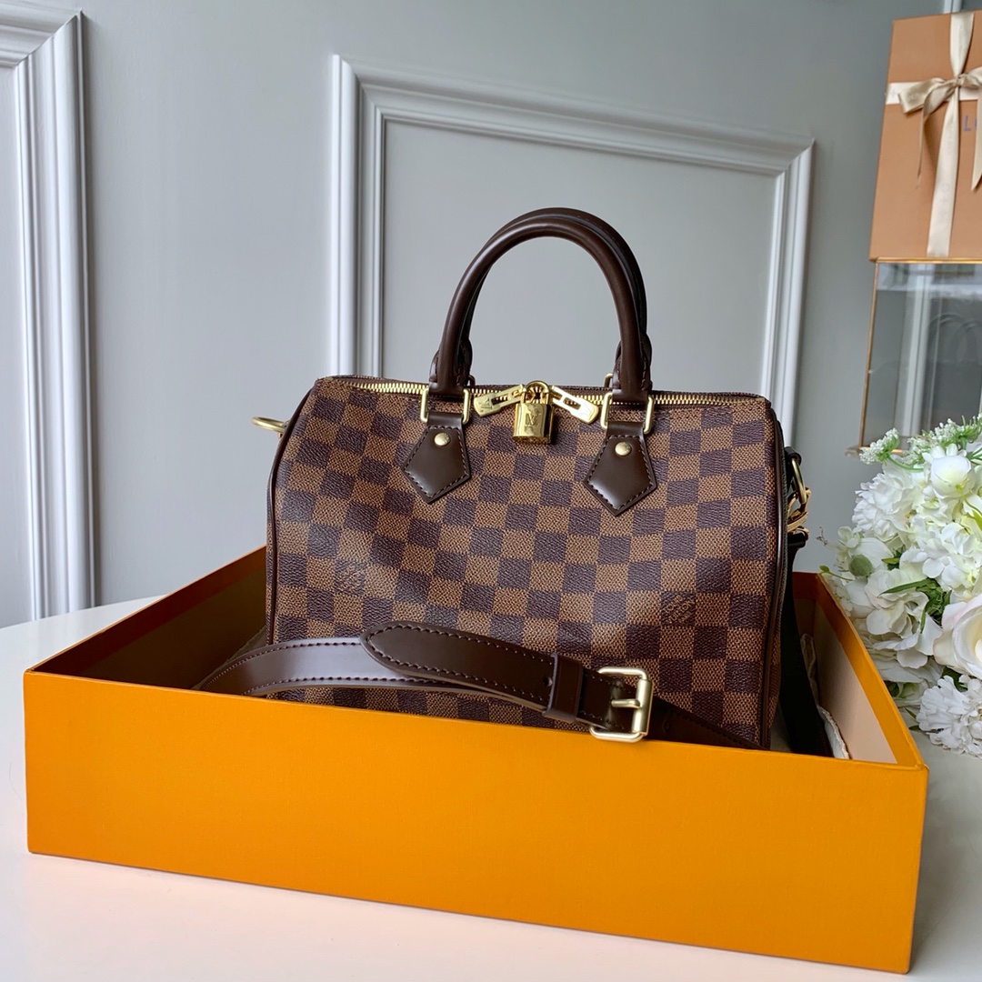Louis Vuitton LV Speedy Bags Handbags Damier Ebene Canvas