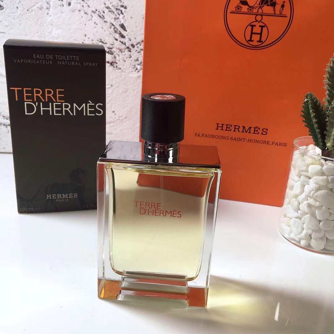 Hermes Terre D'Hermes EDT 100ml - Woody & Fresh, Unisex Fragrance