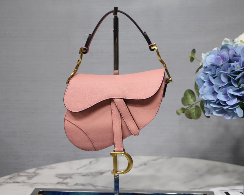 Dior Saddle 手掌纹 小号 马鞍包