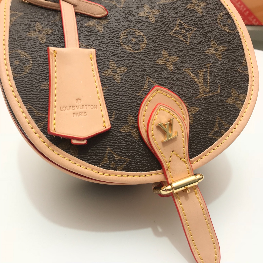 Louis Vuitton Monogram everyday