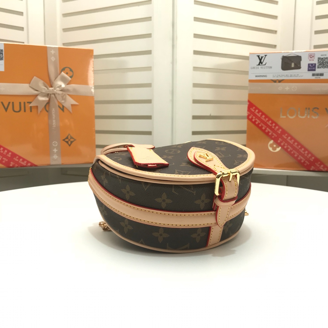 Louis Vuitton Monogram everyday