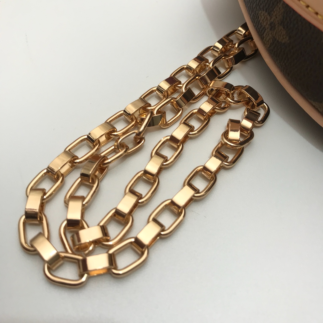 Louis Vuitton Monogram everyday