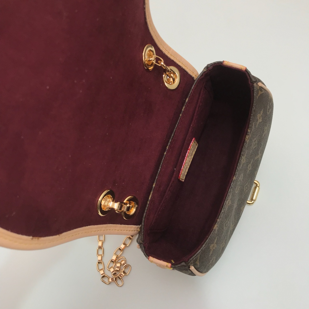 Louis Vuitton Monogram everyday