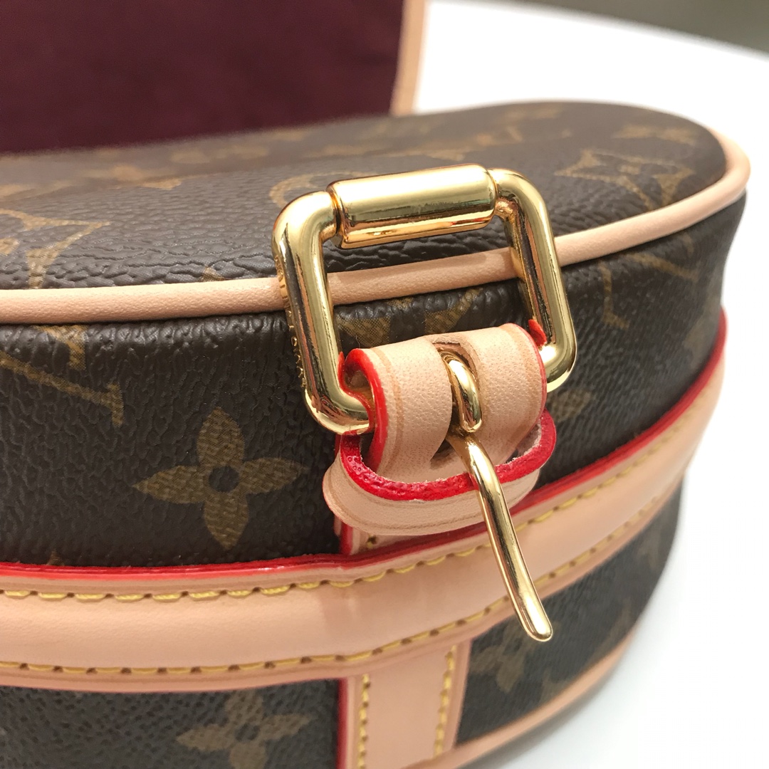 Louis Vuitton Monogram everyday