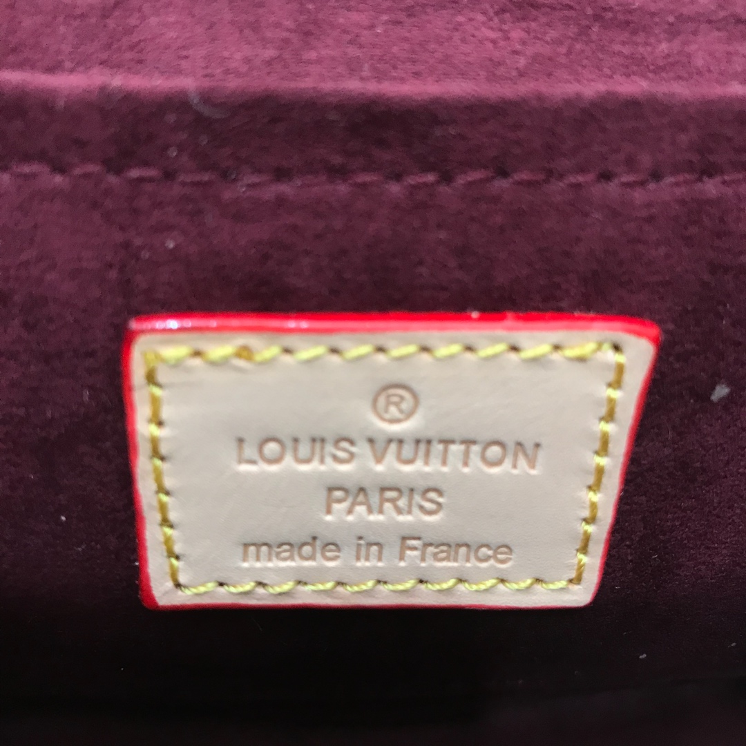 Louis Vuitton Monogram everyday