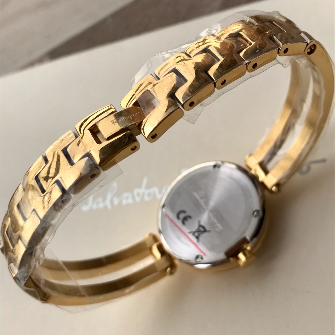 Salvatore Ferragamo Watch: Brushed New Design, Swiss Movement, Sapphire Glass, Waterproof 30m - 图片 9