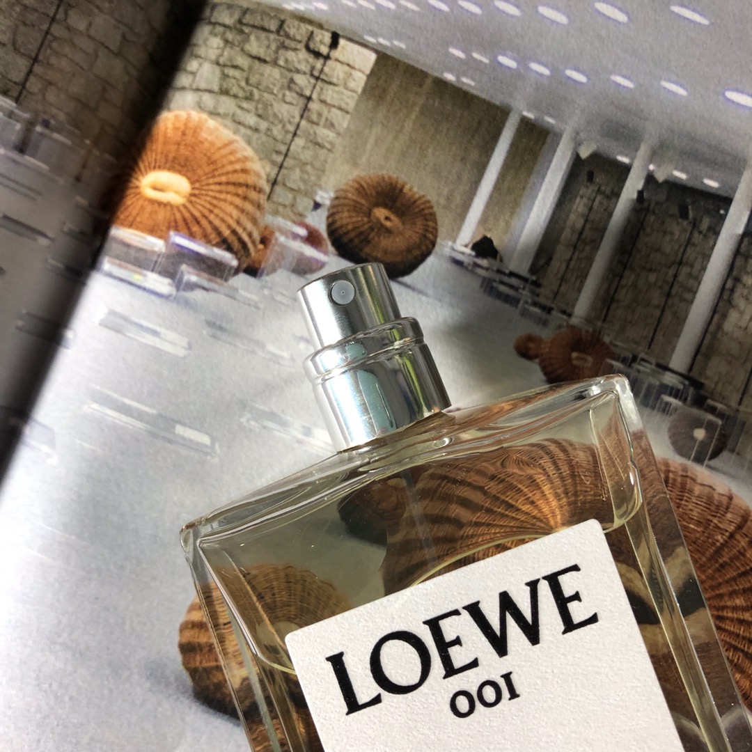 Loewe luxury item 5