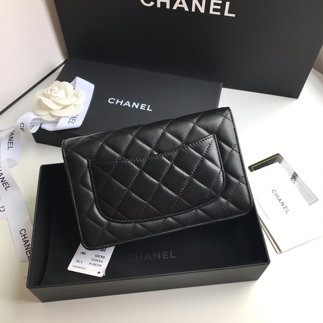 Chanel 升级版CHANE WOC链条包
