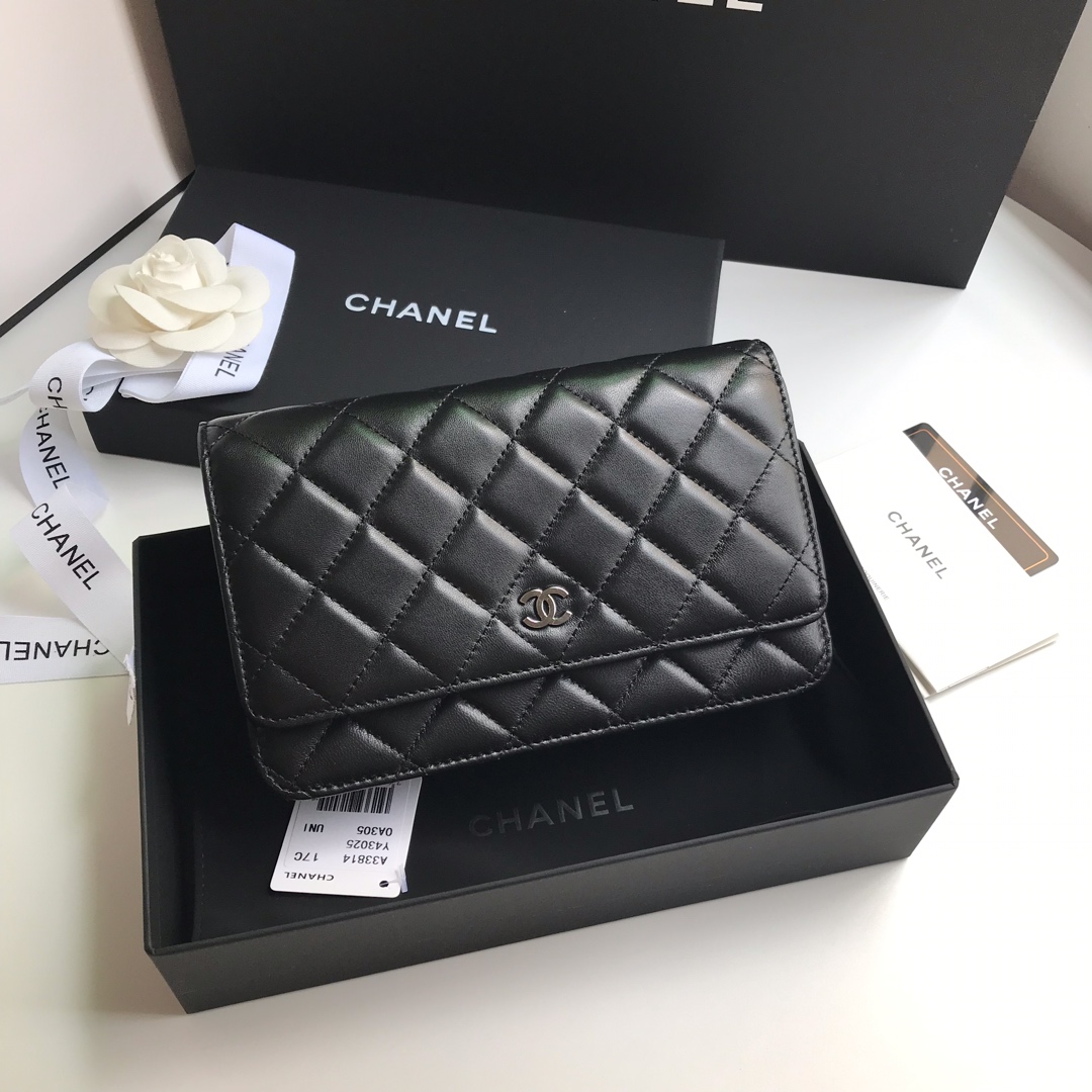 Chanel 升级版CHANE WOC链条包