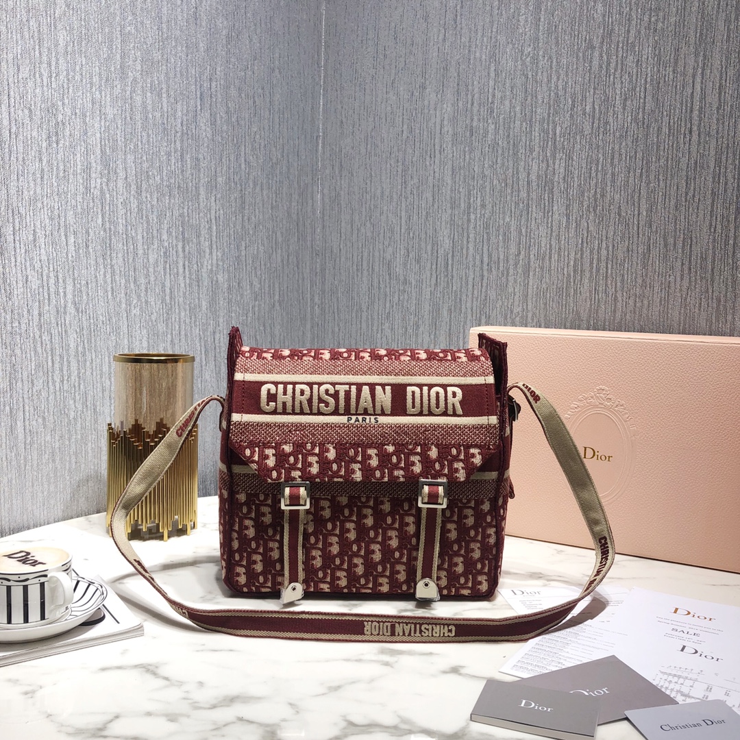 Dior Messenger Bags Canvas Oblique