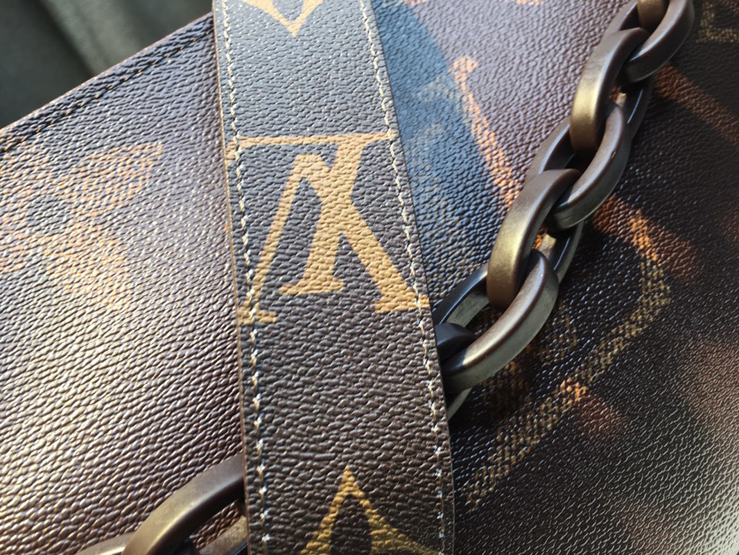 Louis Vuitton everyday