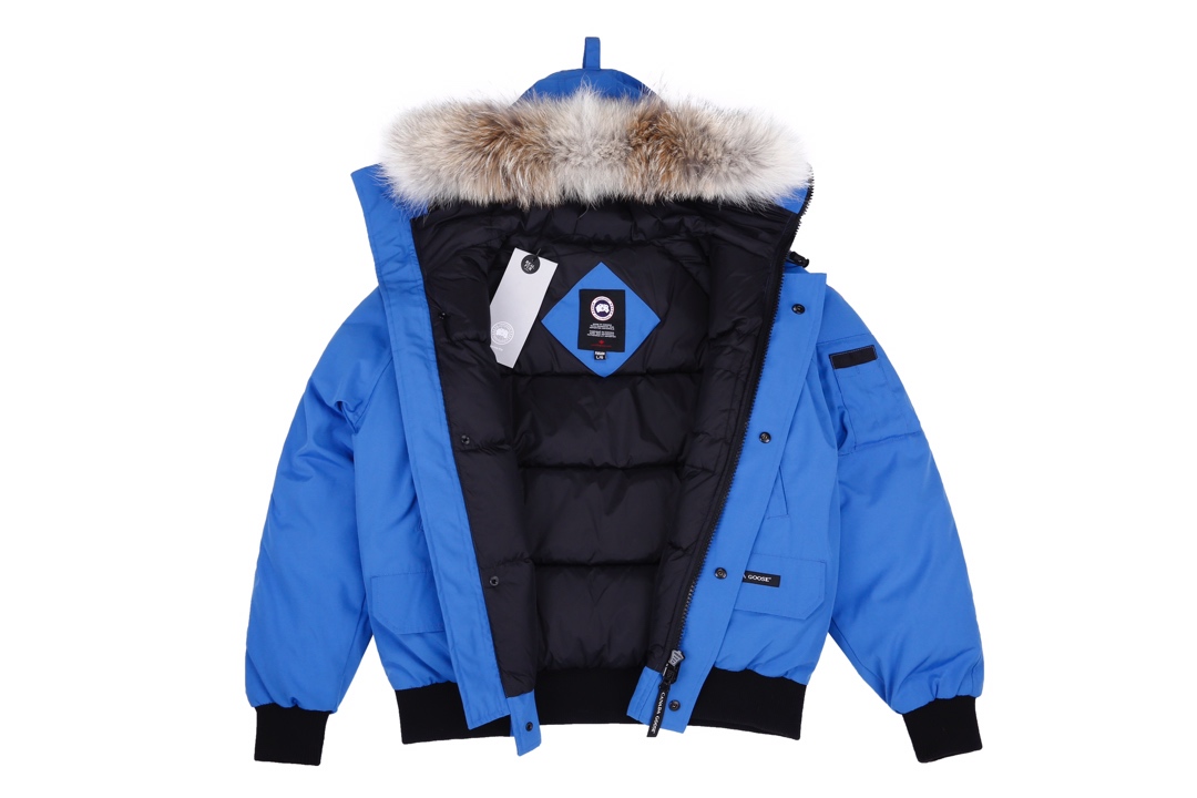 1563150605 1037860059 2