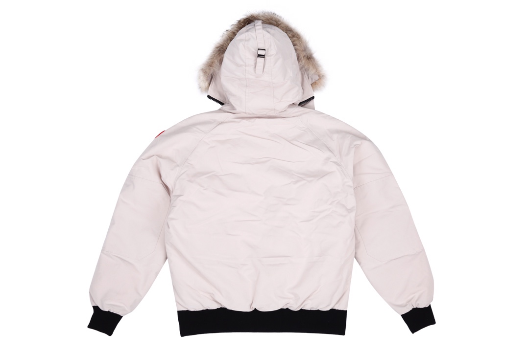 1563150635 951633048 1