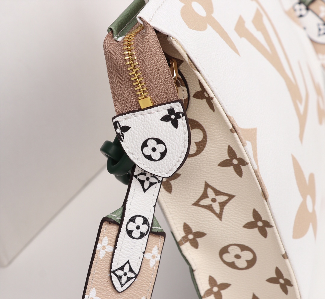 Louis Vuitton everyday