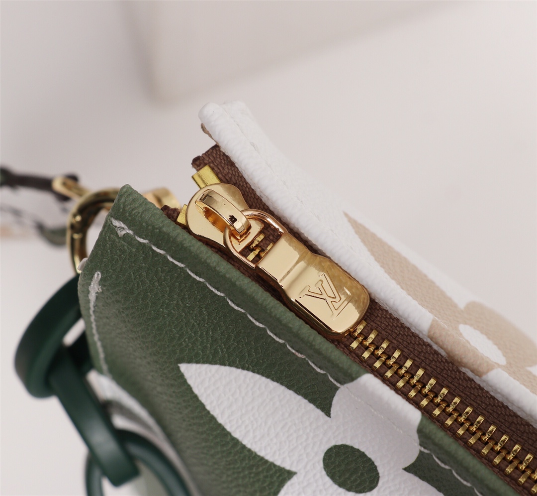 Louis Vuitton everyday