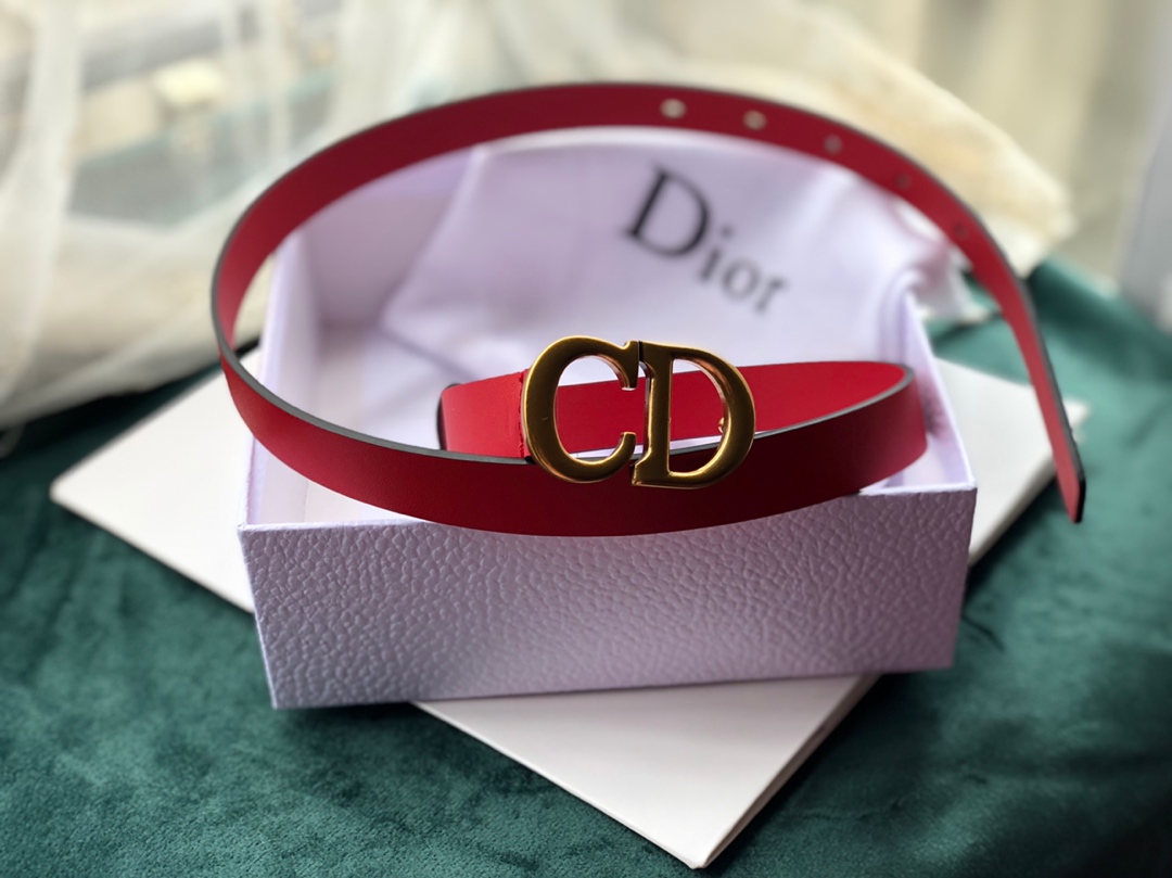 Dior Saddle Belts Cowhide