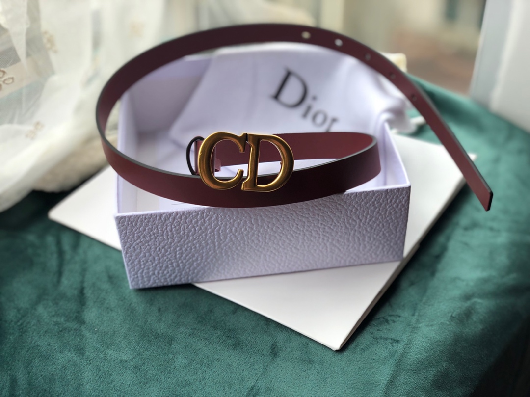 Dior Saddle Belts Cowhide