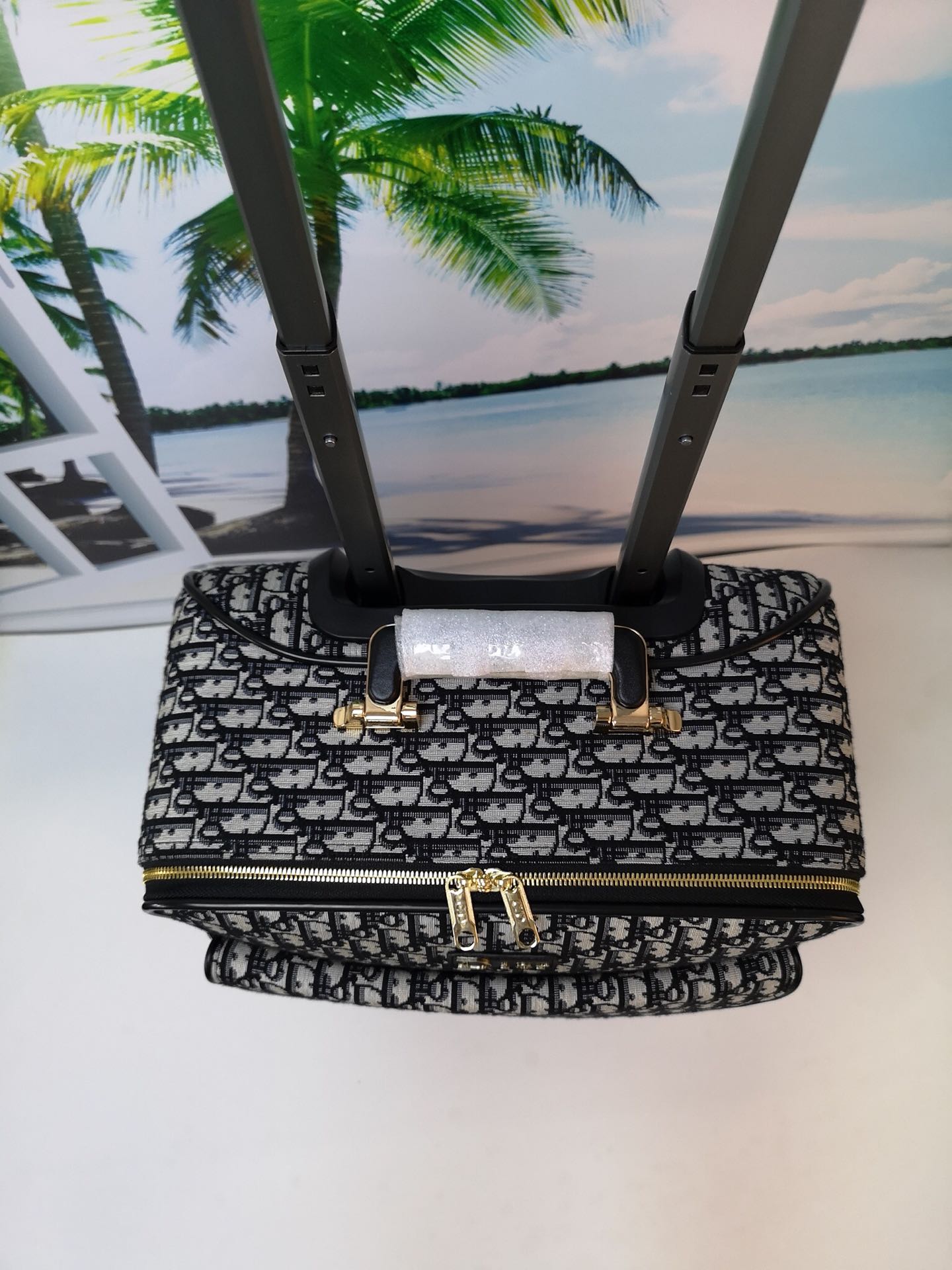 Dior’s 2019 Pre-Fall Saddle Travel Bag by Kim Jones: Luxurious & Stylish - 图片 3