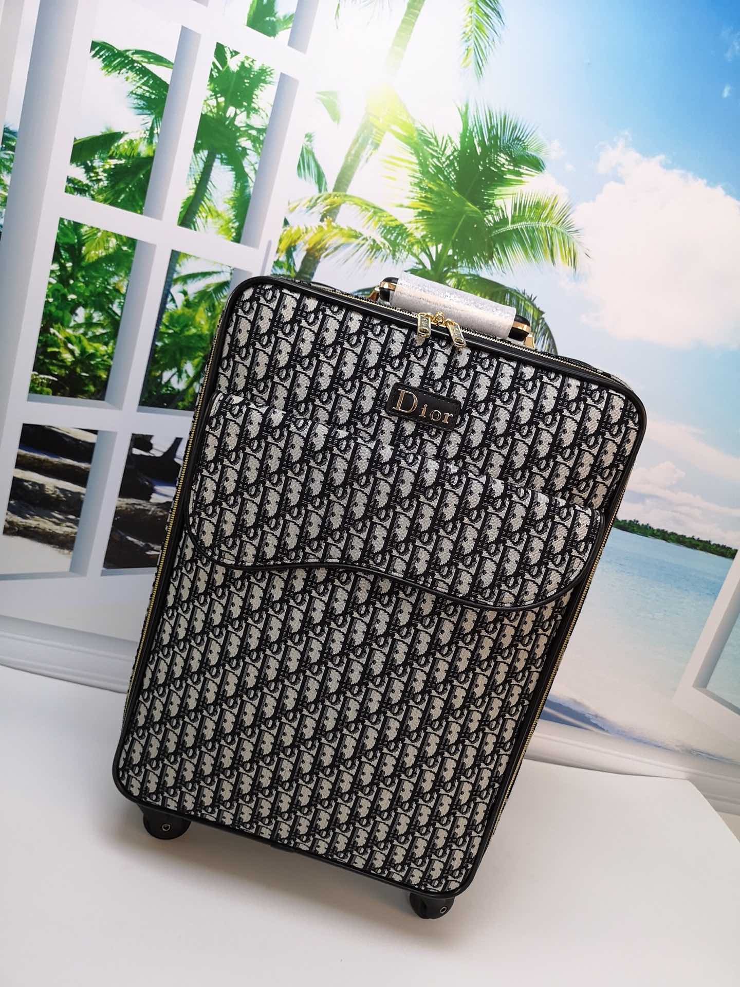 Dior’s 2019 Pre-Fall Saddle Travel Bag by Kim Jones: Luxurious & Stylish - 图片 2