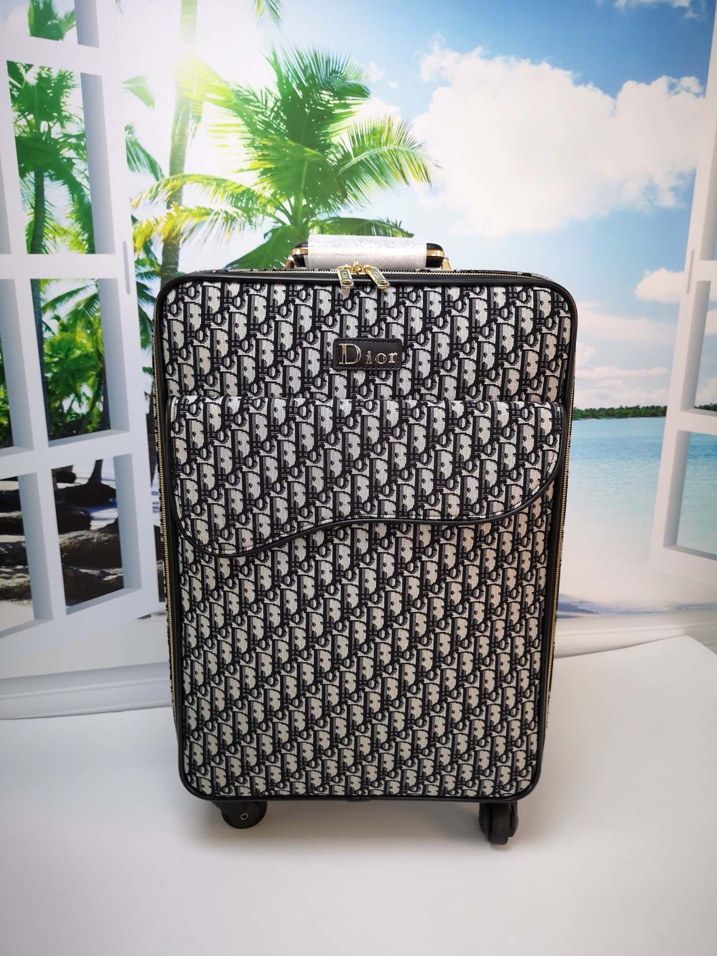 Dior’s 2019 Pre-Fall Saddle Travel Bag by Kim Jones: Luxurious & Stylish