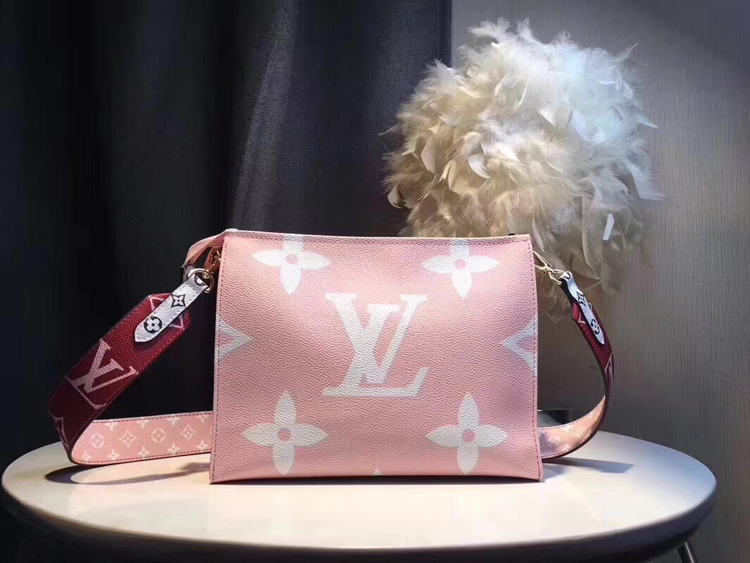 Louis Vuitton everyday