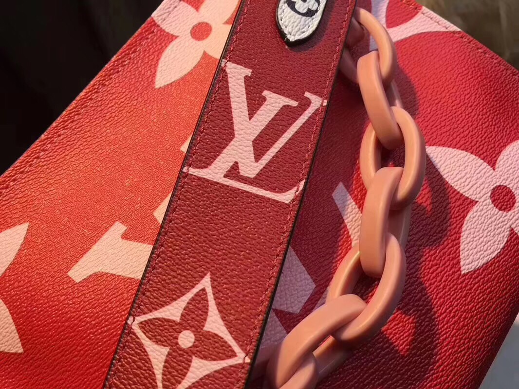 Louis Vuitton Red W25H20D5 crossbody everyday