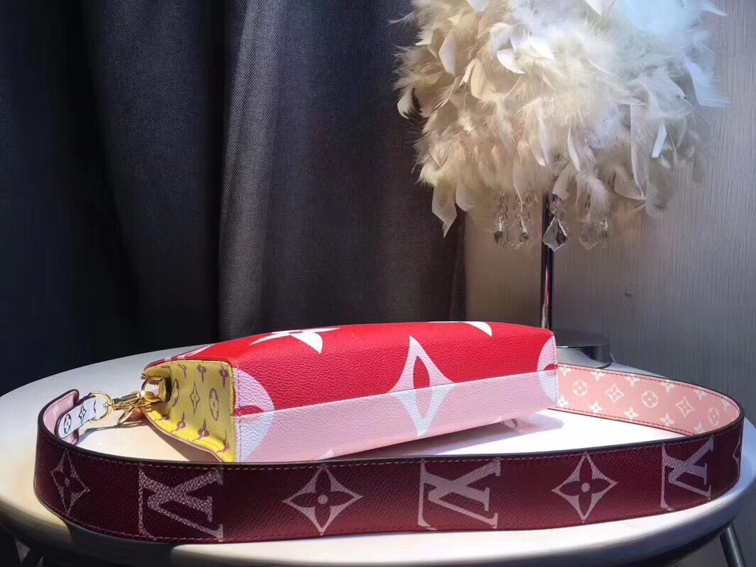 Louis Vuitton everyday